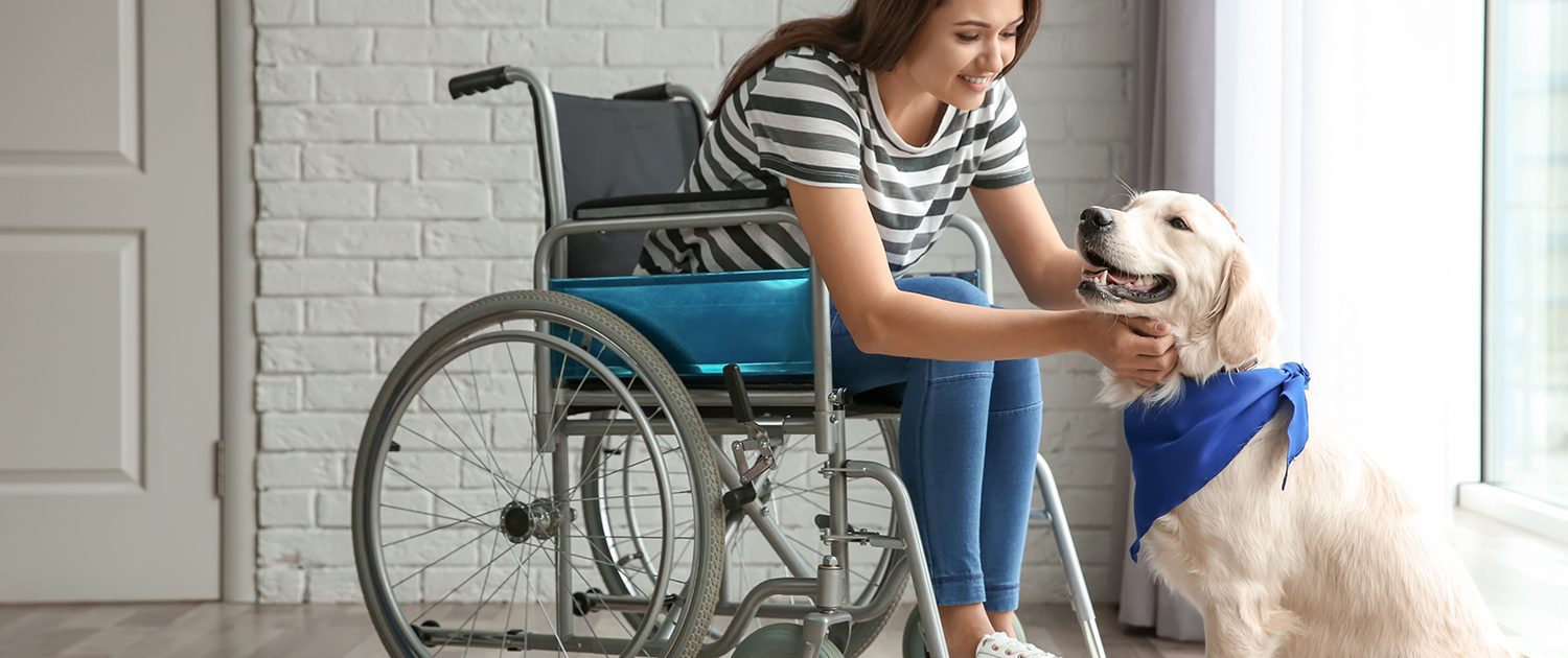 Slider IMG - Young woman in wheelchair with dog indoors